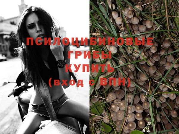 ешки Абдулино
