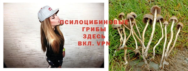 a pvp Ростов
