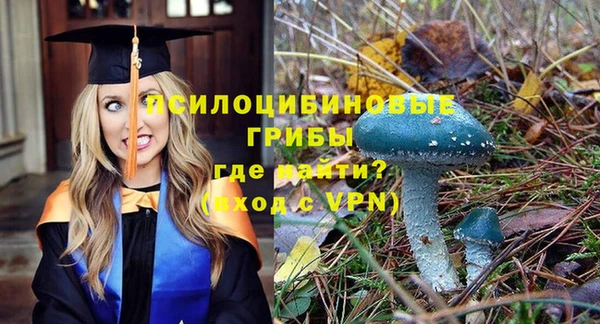 крисы Горняк