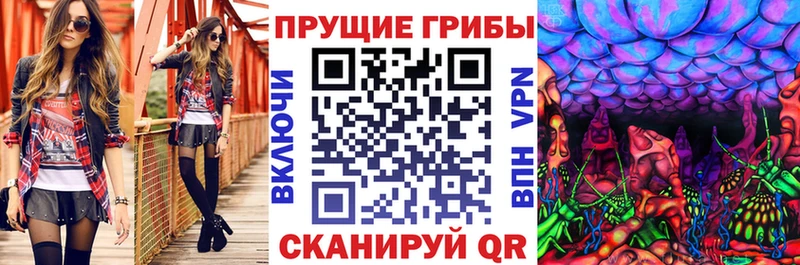 Псилоцибиновые грибы мицелий  Зея 